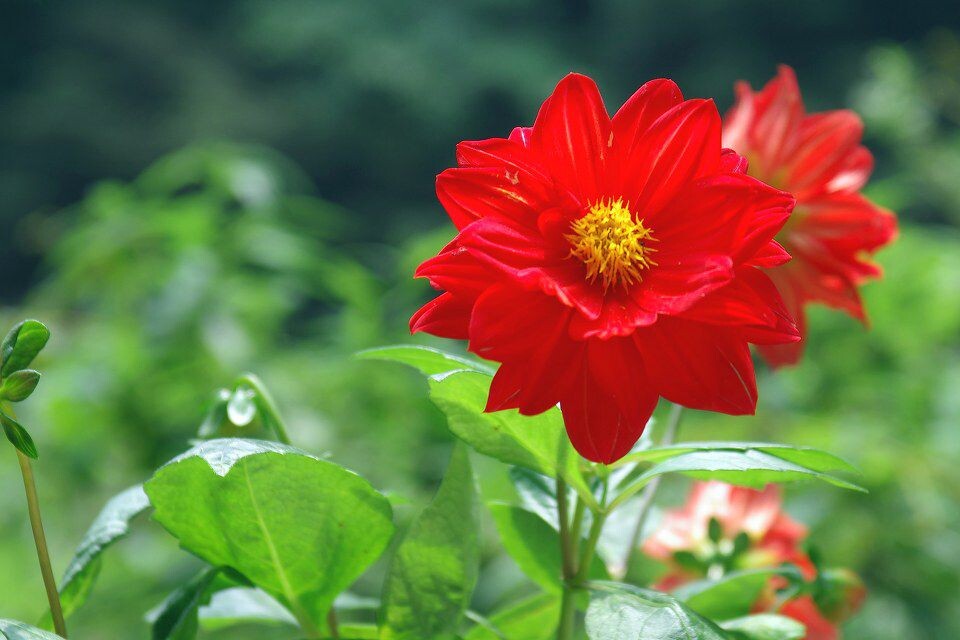 友情与陪伴的温馨日常，最新神马花花分享