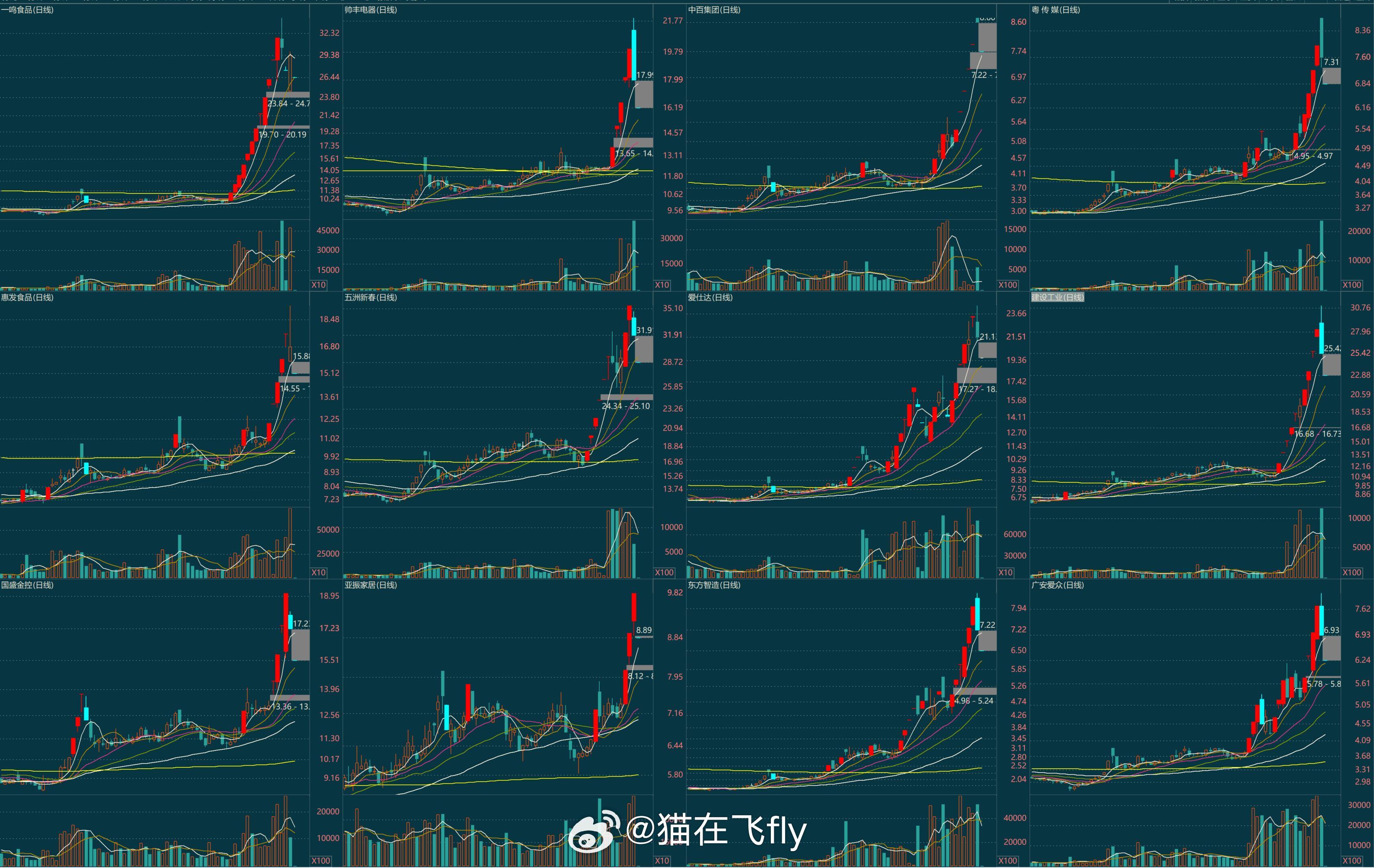 螳螂股票行情深度解析，投资新风向标！