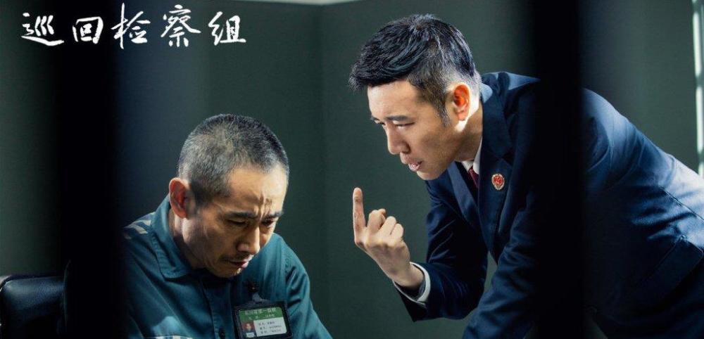 巡回检察组演员表深度解析，角色与演技探究