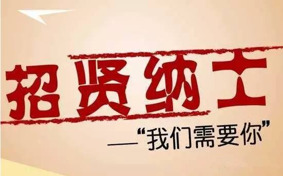 白水最新招聘，时代脉搏与人才汇聚的交汇点