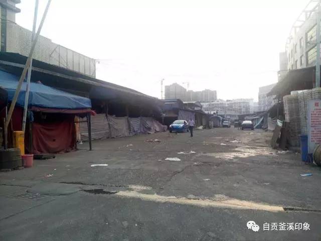 深圳活禽市场最新动态更新