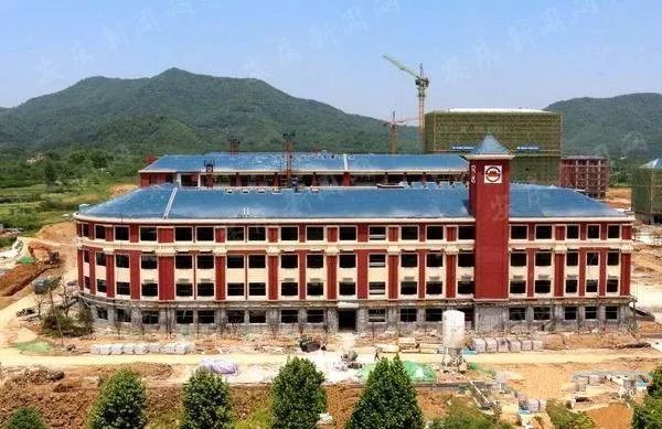 安庆新一中最新动态揭秘，日常趣事与情感纽带连结校园时光