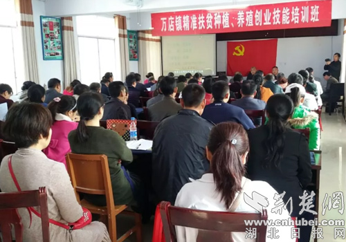 随州新闻最新动态速递