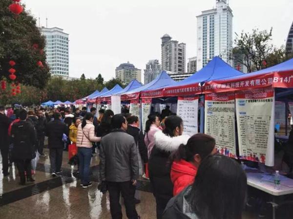 最新会计招聘信息，与自然美景相伴的心灵之旅