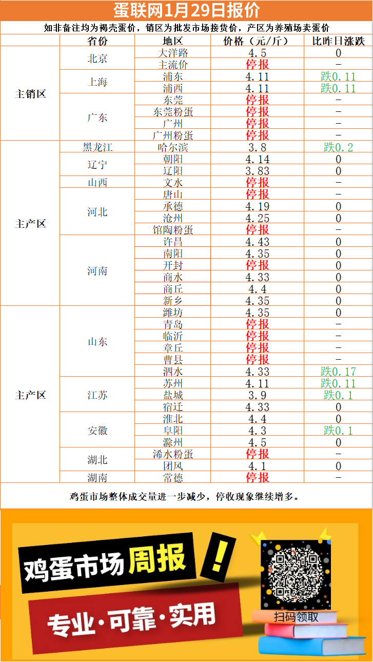 鸡蛋最新报价背后的温馨故事揭秘